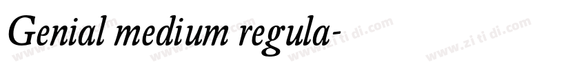 Genial medium regula字体转换 Genial medium regula字体转换
